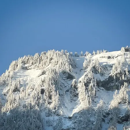 Arnestgut Apartmán *